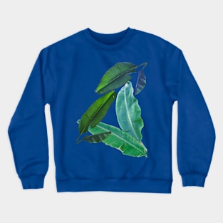 Banana Leaves Crewneck Sweatshirt